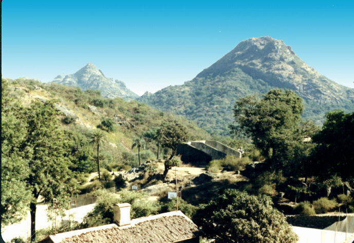 Plummy and Sgt. Plummy